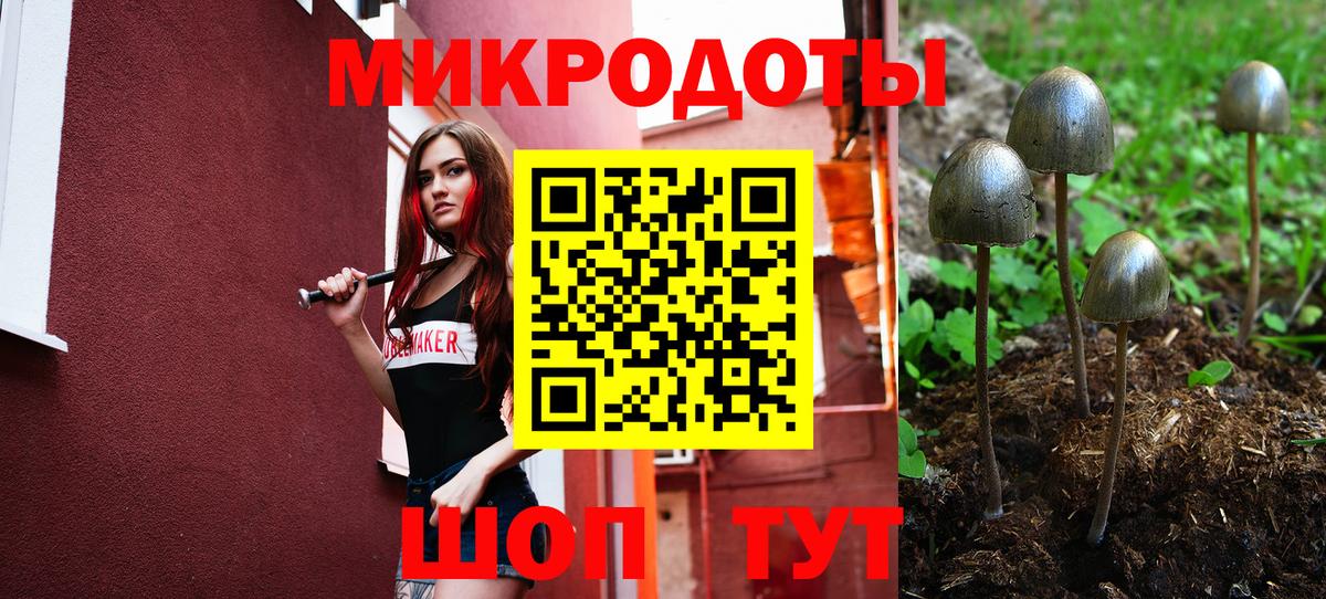 Галлюциногенные грибы прущие грибы Ефремов